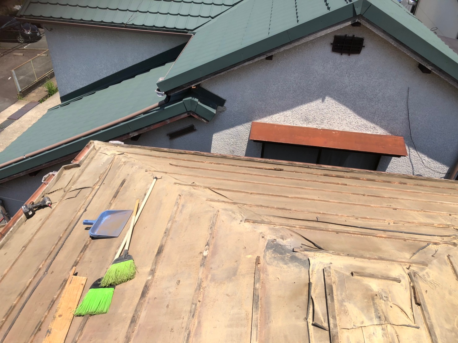 リッジウェイアーストシーダー